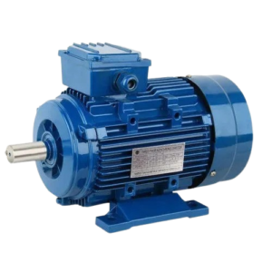 INDUCTION MOTOR